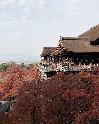 清水寺の紅葉