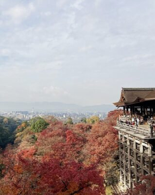 阿弥陀堂と三重塔／諸堂を見渡せるスポットへの行き方は？