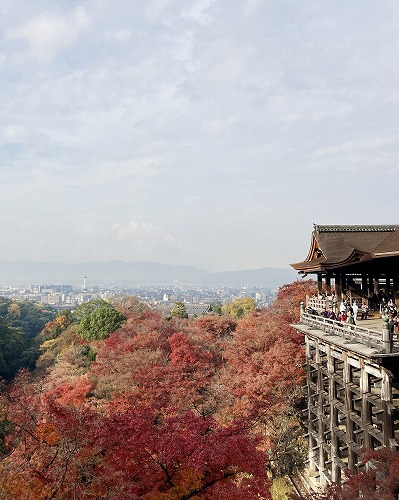 阿弥陀堂と三重塔／諸堂を見渡せるスポットへの行き方は？