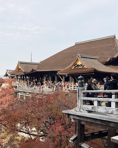 阿弥陀堂と三重塔／諸堂を見渡せるスポットへの行き方は？