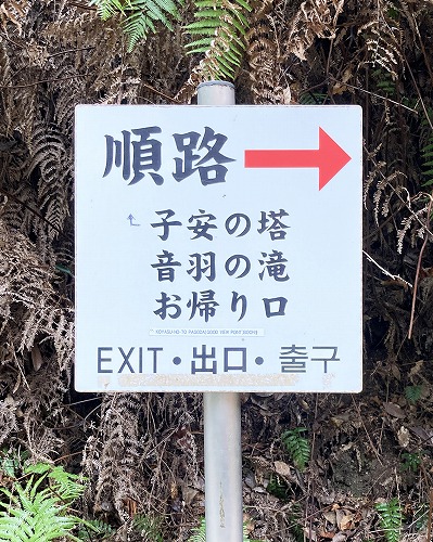 阿弥陀堂と三重塔／諸堂を見渡せるスポットへの行き方は？