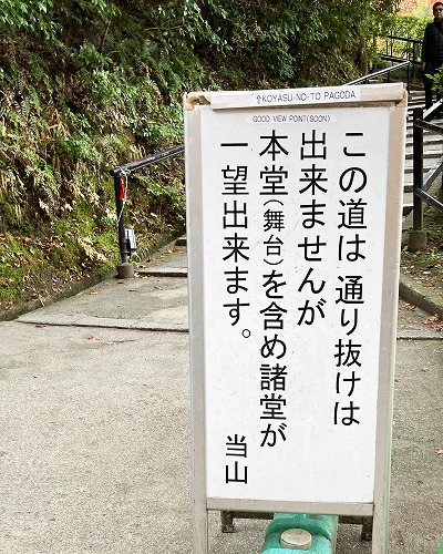 阿弥陀堂と三重塔／諸堂を見渡せるスポットへの行き方は？