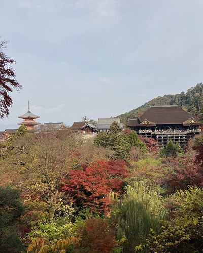 阿弥陀堂と三重塔／諸堂を見渡せるスポットへの行き方は？