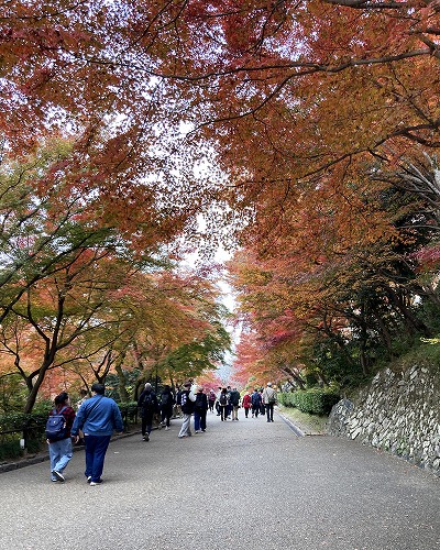 清水寺の紅葉