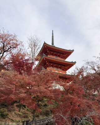 清水寺の紅葉